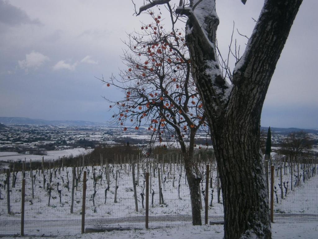 Le Badie Ristorante Hotel Rosazzo
